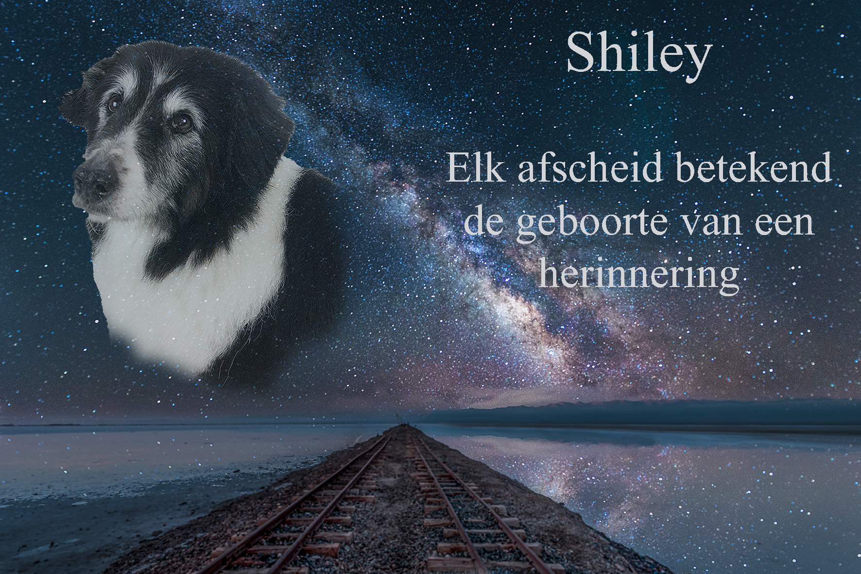 afscheid Shiley
