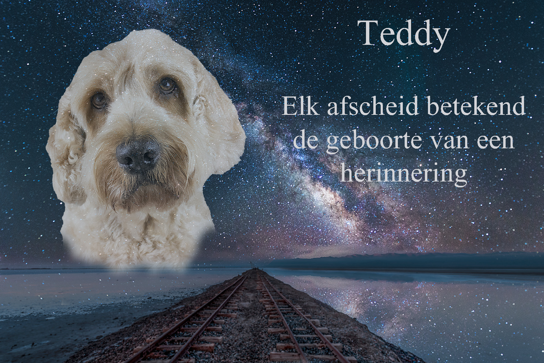 afscheid teddy