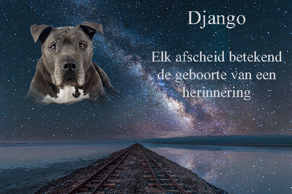 afscheid van Django