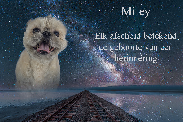 Afscheid van Miley